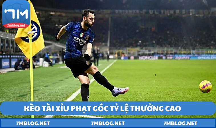 keo phat goc la gi hot Kèo tài xỉu phạt góc hấp dẫn, tỷ lệ thưởng cao