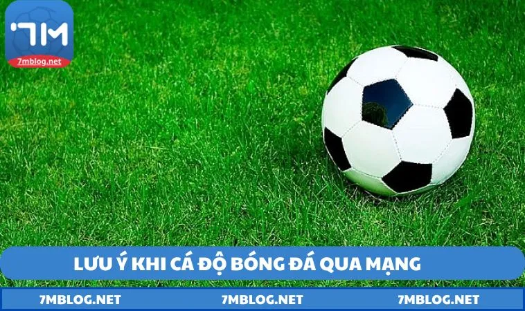 mot so viec can luu y khi ca do bong da qua mang Một số việc cần lưu ý khi cá cược bóng đá qua mạng