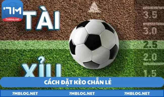 cách đặt kèo chẵn lẻ