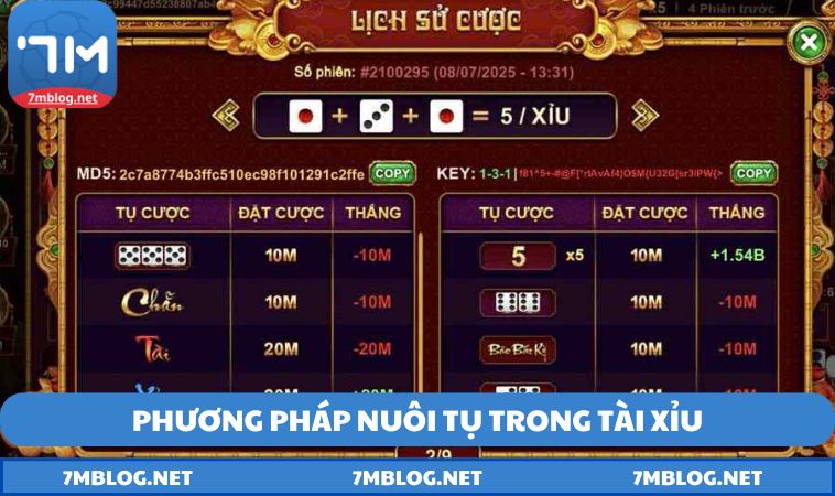 Phương pháp nuôi tụ trong tài xỉu