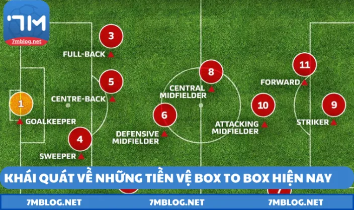 Đôi nét về các tiền vệ box to box