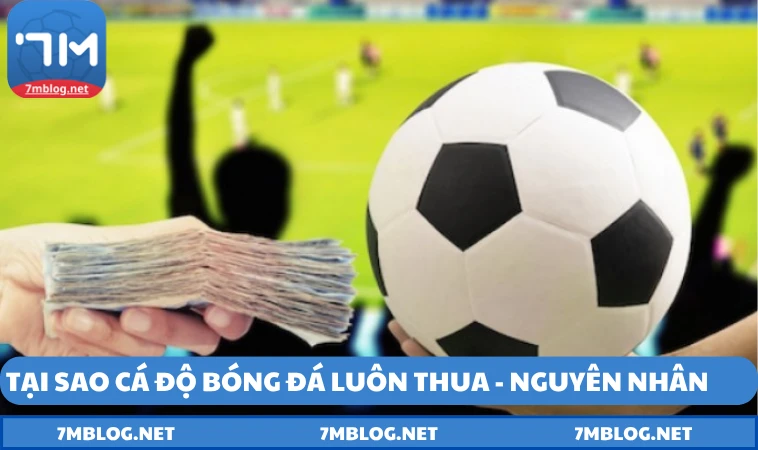 tai sao ca do bong da luon thua nguyen nhan xuat phat Tại sao cá độ bóng đá luôn thua - Nguyên nhân xuất phát