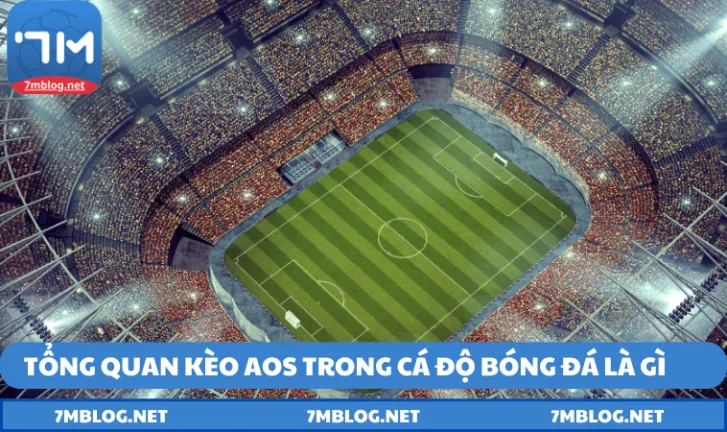 Tìm hiểu một số đặc điểm về hình thức AOS